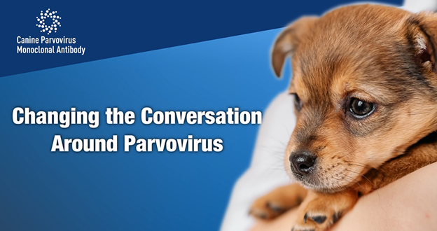 Parvovirus cure shop